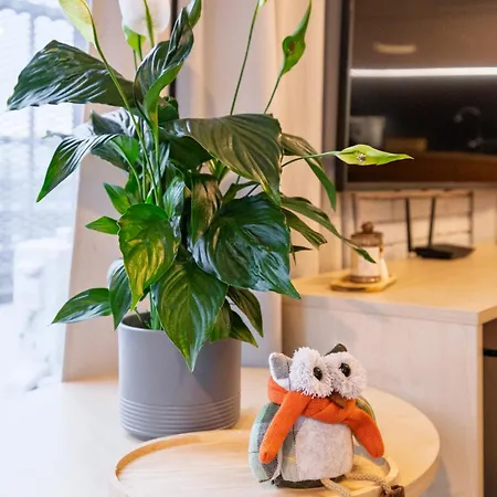 Sen Krasnala By Fuzjaaparts 公寓 *