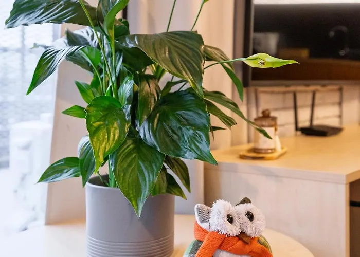 Sen Krasnala By Fusionaparts 아파트 *